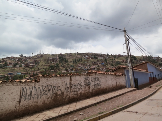 The outskirts of Perú; poverty that was in clear contrast to the clean, well-restored historic quarter. The neighboring hillsides were all covered in eucalyptus, fast-growing but sucking the soils dry. 